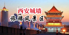 大鸡巴插入女人阴道.视频中国陕西-西安城墙旅游风景区