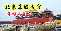 张开的毛茸茸阴户视频中国北京-东城古宫旅游风景区
